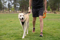 Ruffwear Front Range Short Leash